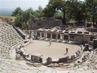 ağaç evler